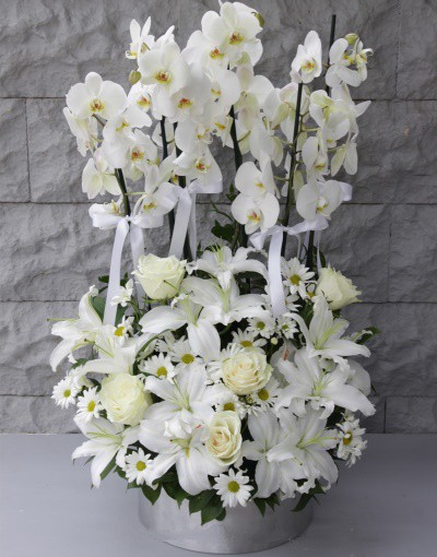 Büyük Orkide Aranjmanı