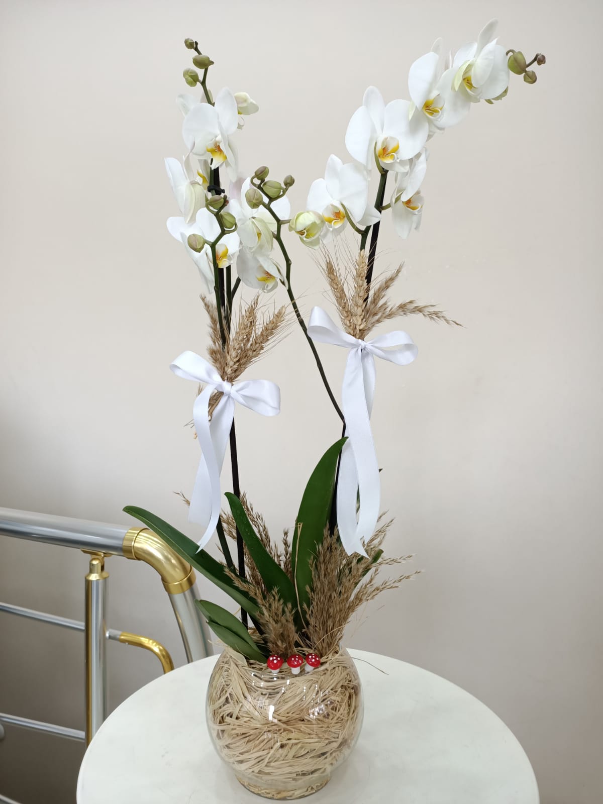 Cam Fanusda 2 Dal Beyaz Orkide