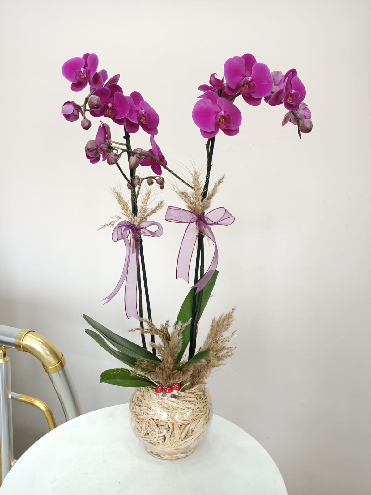 Cam Fanusda 2 Dal Mor Orkide