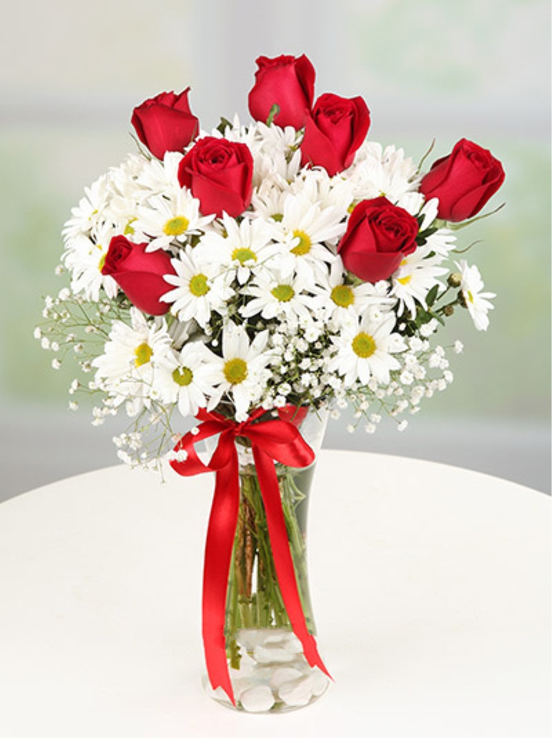 Papatya ve Kırmızı Gül