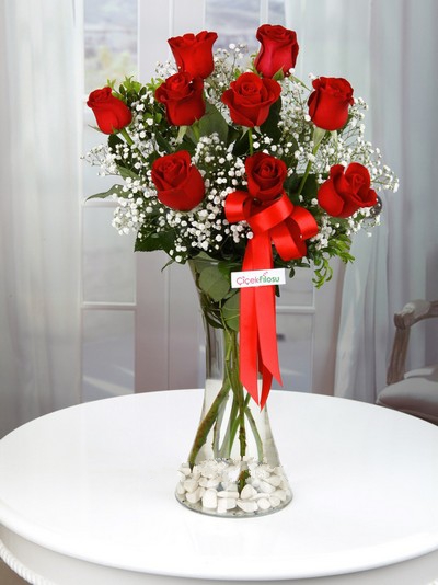 Vazoda 9 Gül (Kırmızı)