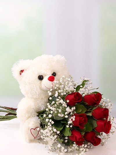 Ayıcık ve Kırmızı Güller