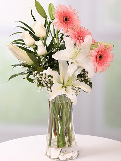 Vazoda Lilyum Pembe Gerbera