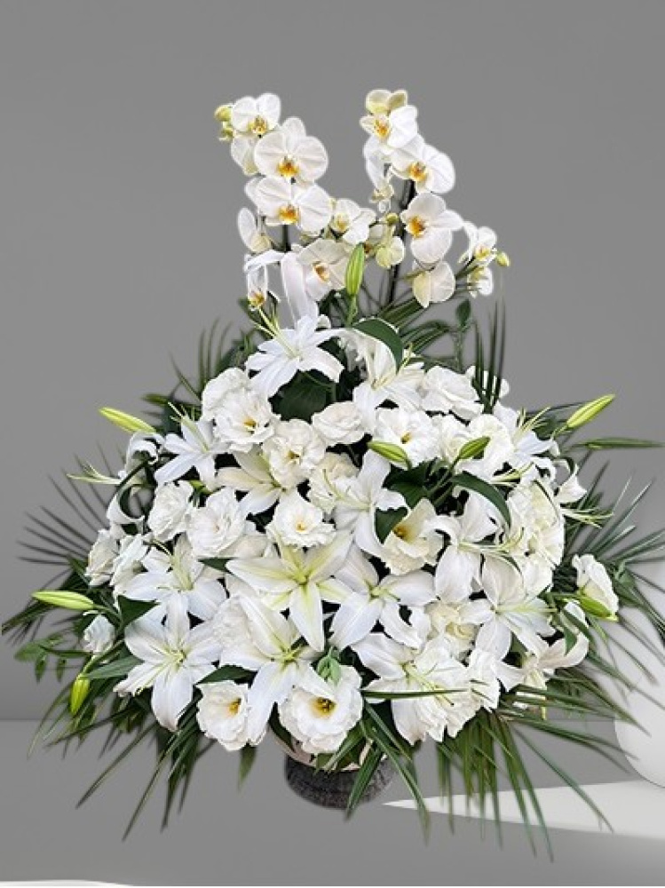 Büyük Orkideli Aranjman