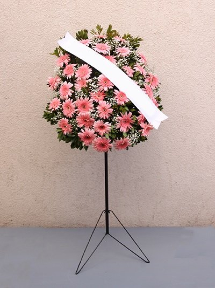 Pembe Renk Ferforje Kampanyalı