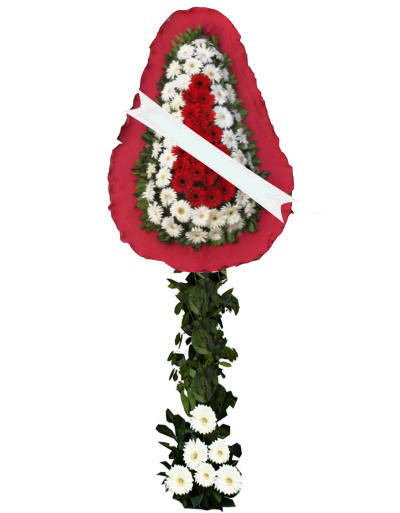 Kırmızı Beyaz Gerbera Mutluluklar